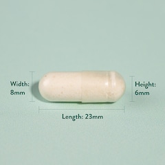 Image 4 for Triple Action Biotic Gut Formula 60 Capsules