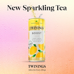 Image 2 for Boost Lemon & Ginger Sparkling Tea 250ml