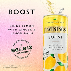 Image 3 for Boost Lemon & Ginger Sparkling Tea 250ml