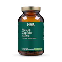 Image 1 for Shilajit 1000mg 90 Capsules